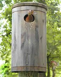 duck nest box